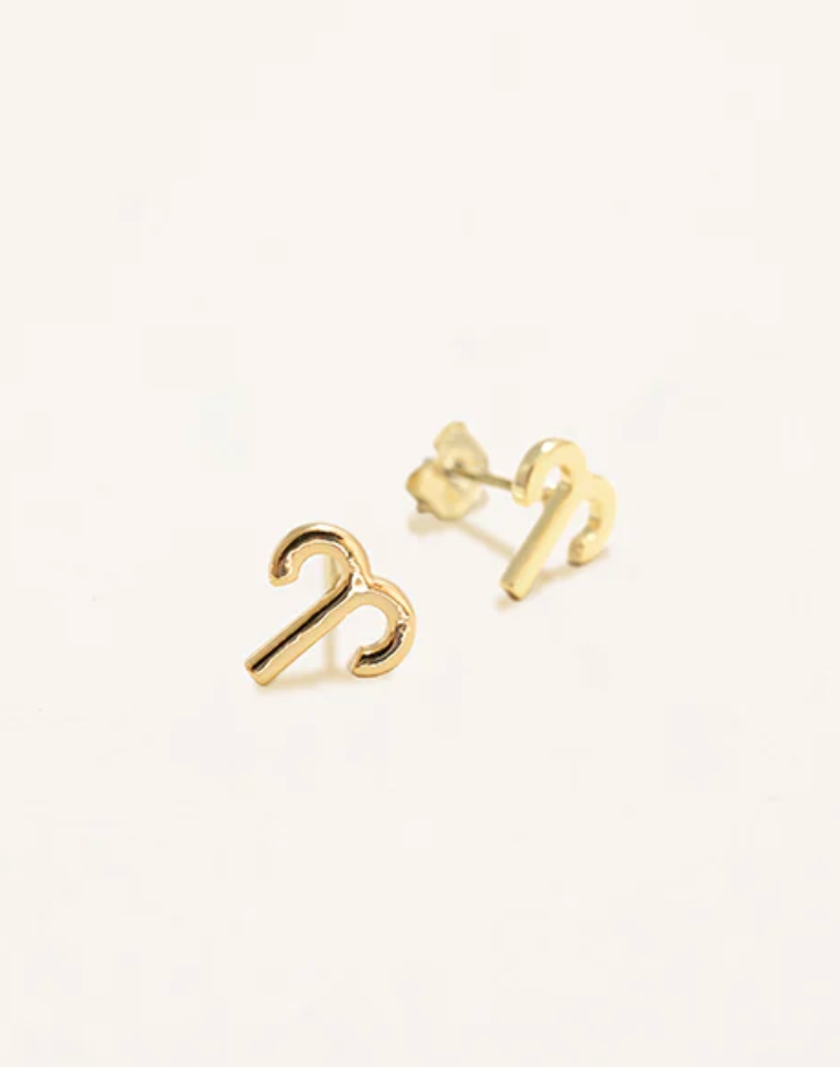 Zodiac Sign Earrings