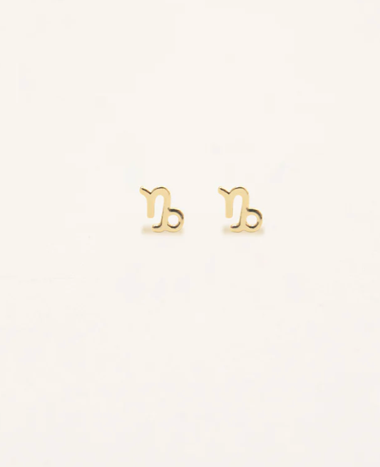 Zodiac Sign Earrings