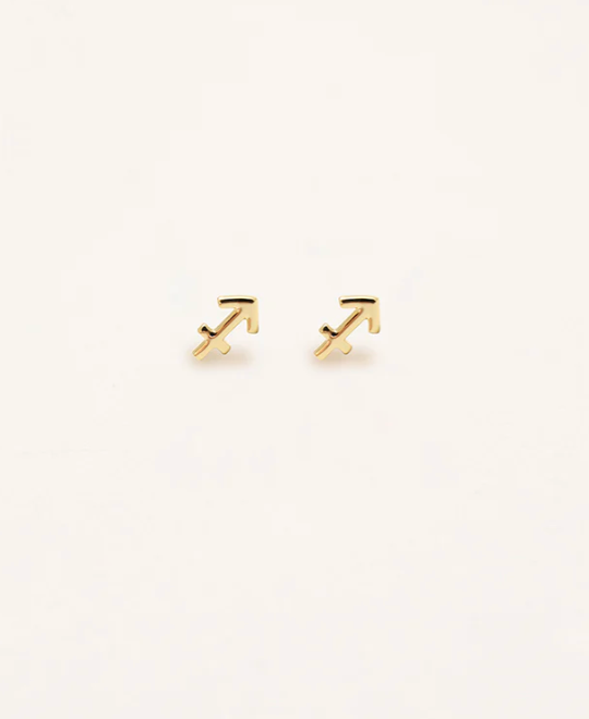 Zodiac Sign Earrings