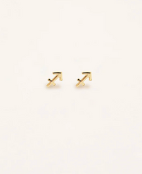 Zodiac Sign Earrings