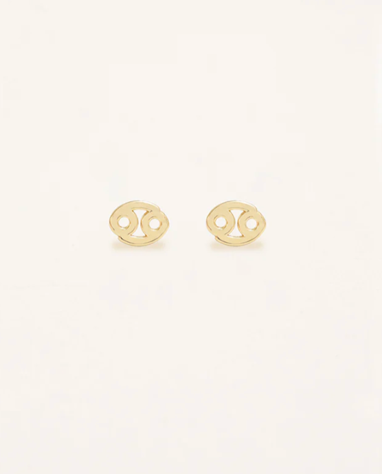 Zodiac Sign Earrings