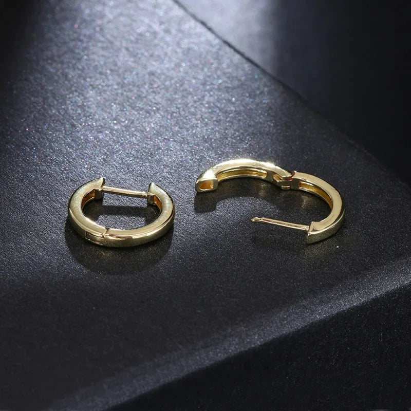 Fine Hinged Hoop Earring