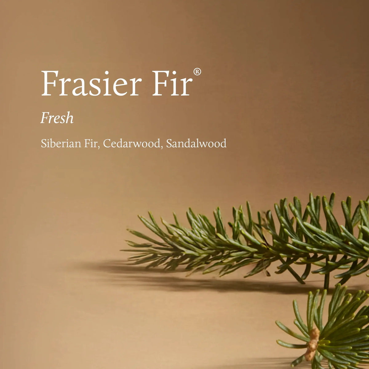 Frasier Fir Tidings Petite Reed Diffuser-4oz