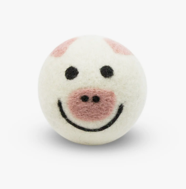 Eco Dryer Balls
