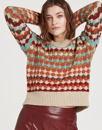 AL Autumn Multi Sweater
