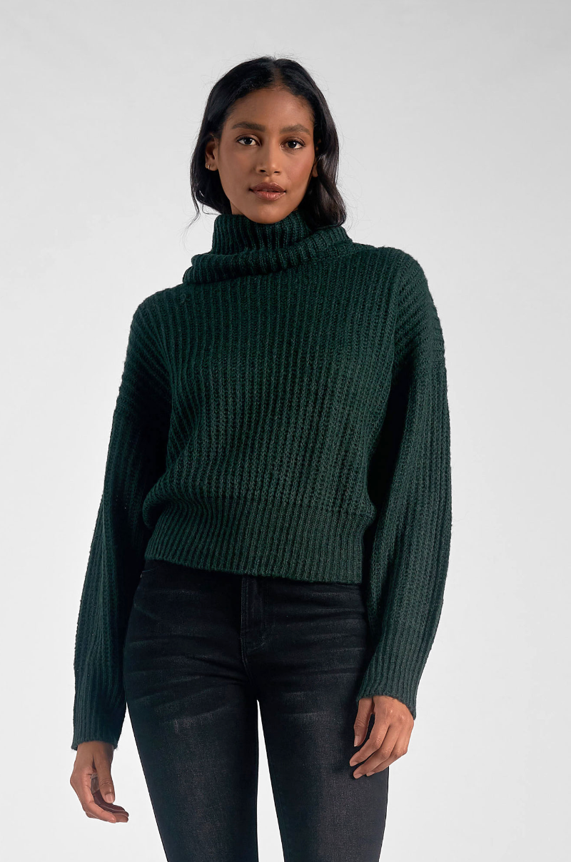 ELN Knit Turtleneck