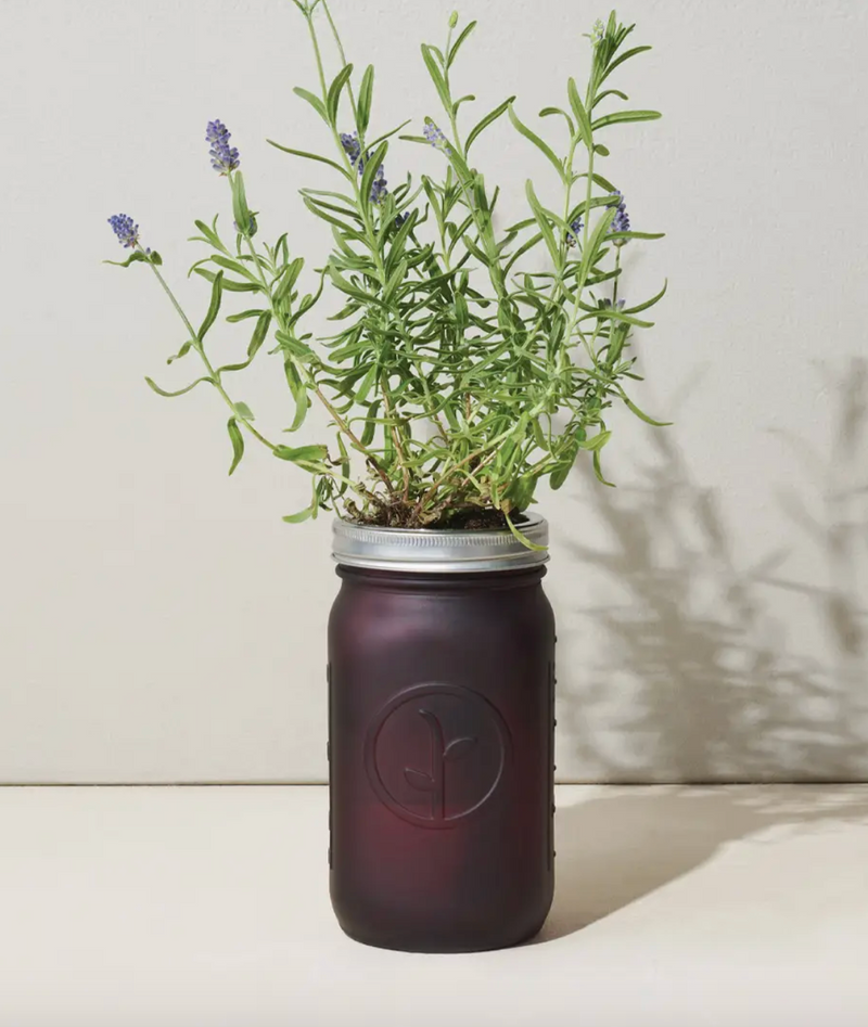MS Garden Jar