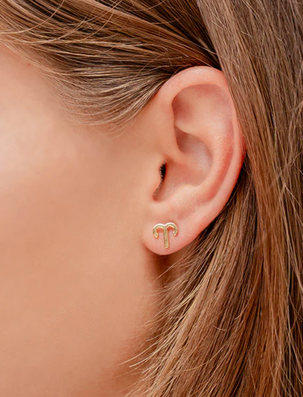 Zodiac Sign Earrings