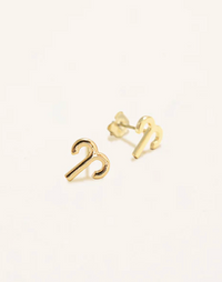 Zodiac Sign Earrings