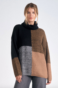 ELN Colorblock Turtleneck Sweater