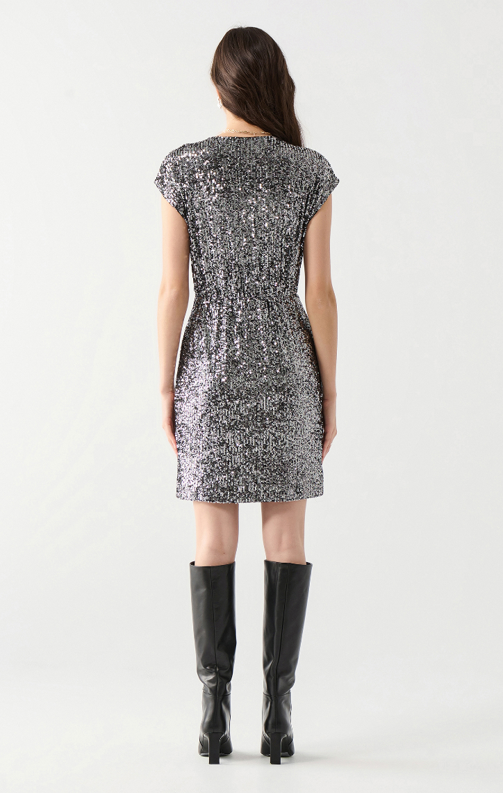 DEX Cap Slv Sequin Dress