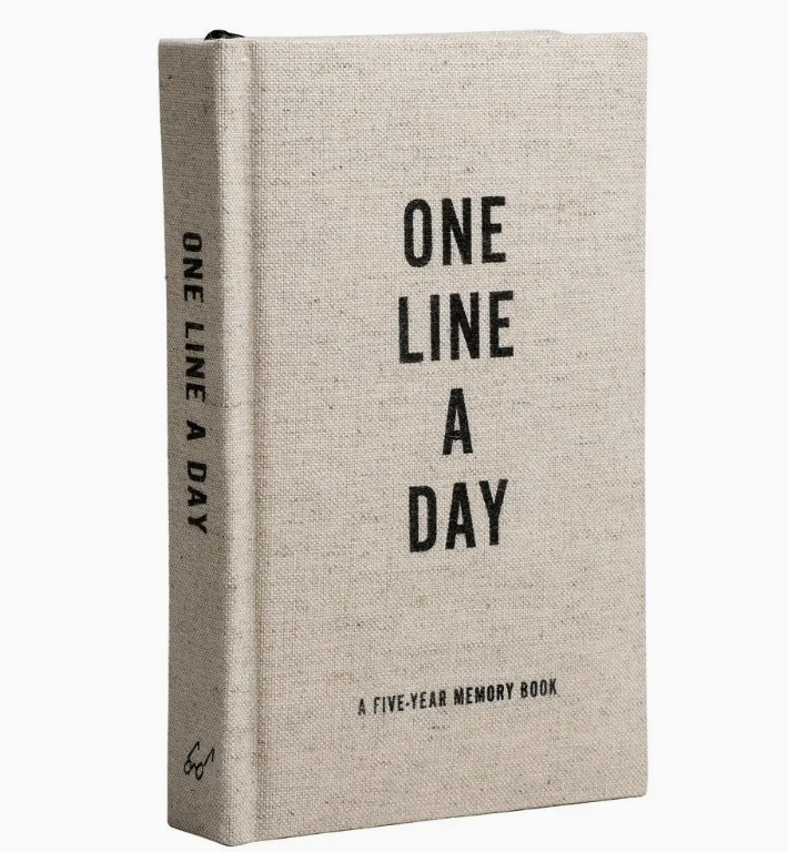 One Line a Day Journal