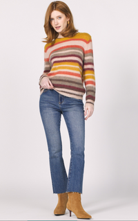 Multi Color Stripe Crew Neck Sweater