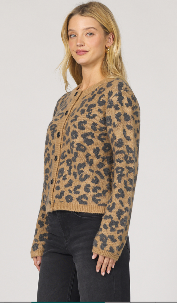 Long Sleeve Leopard Print Sweater