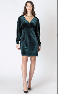 Dex Velvet Mini Dress-Pine