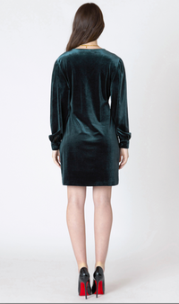 Dex Velvet Mini Dress-Pine