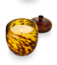 Woodfire Glass Acorn Candle