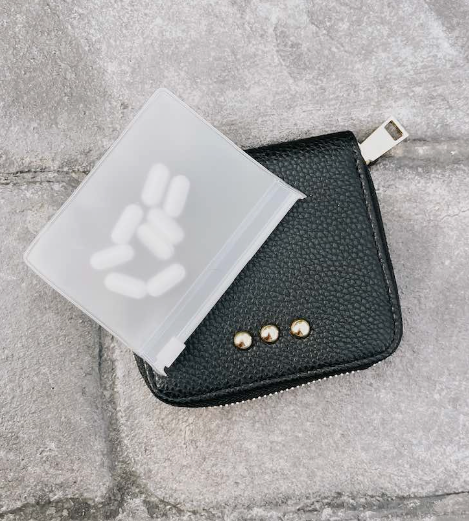 Wanderer Pouch Travel Organizer