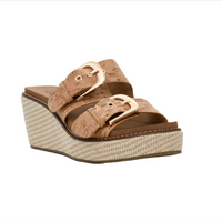 Corkys Manifest -Cork