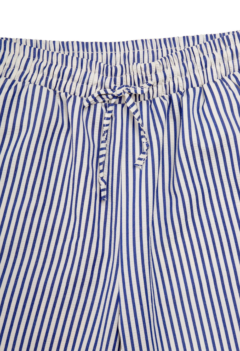 Striped Wide Leg Pants-Blue