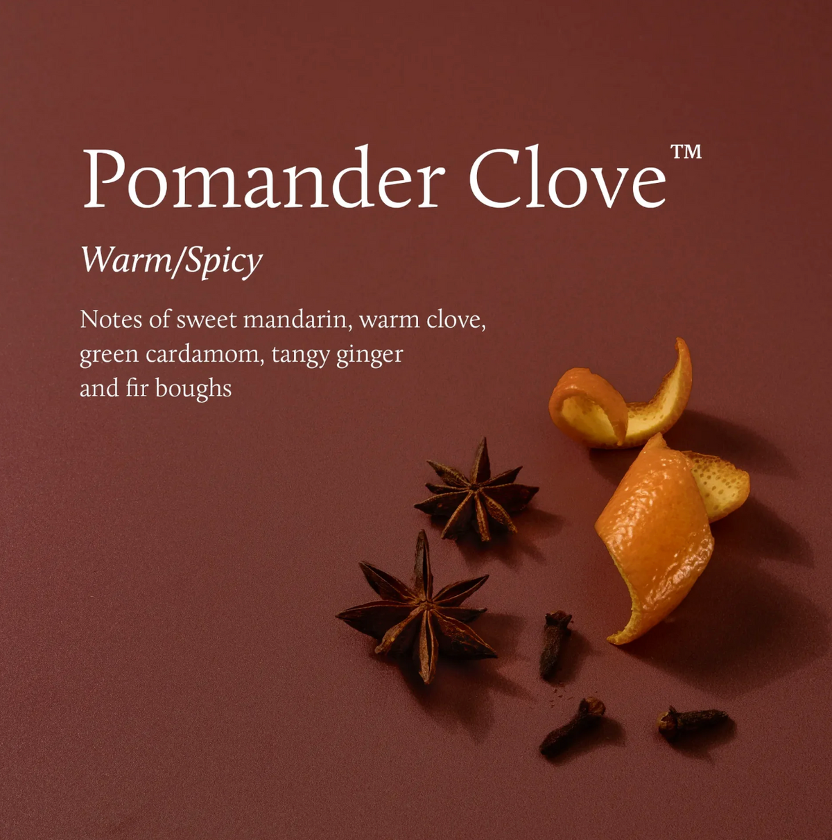 Pomander Clove 3 Wick Candle