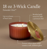 Pomander Clove 3 Wick Candle