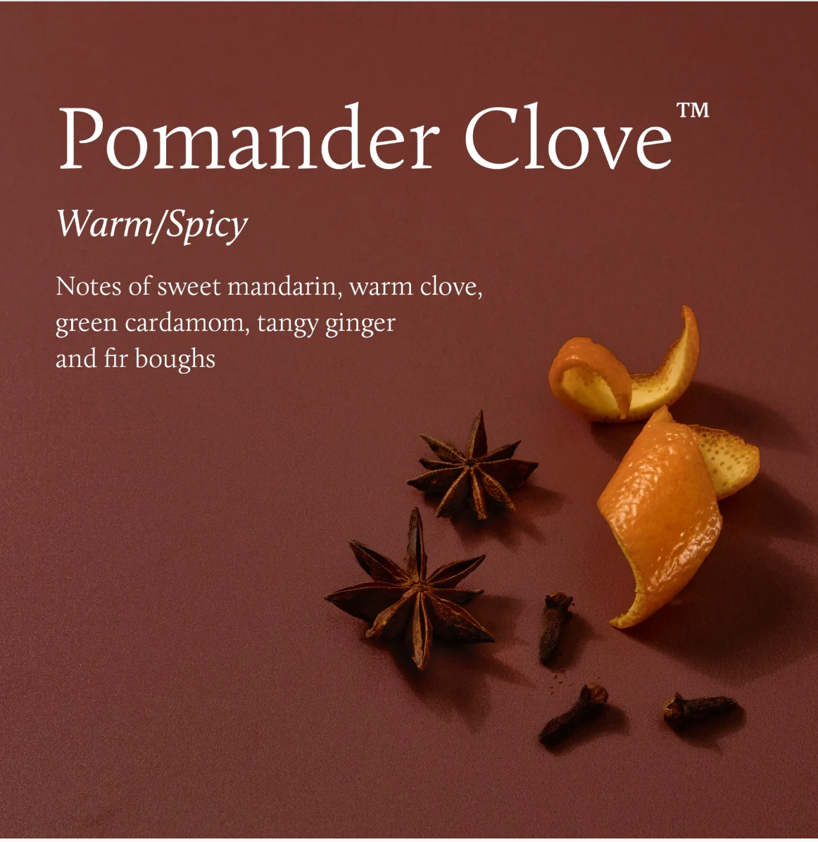 Pomander Clove Boxed Votive Candle