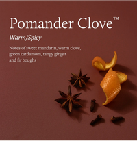 Pomander Clove Boxed Votive Candle