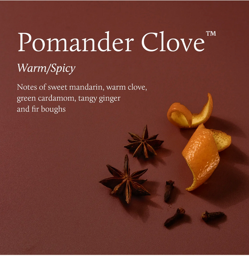 Pomander Clove Boxed Votive Candle