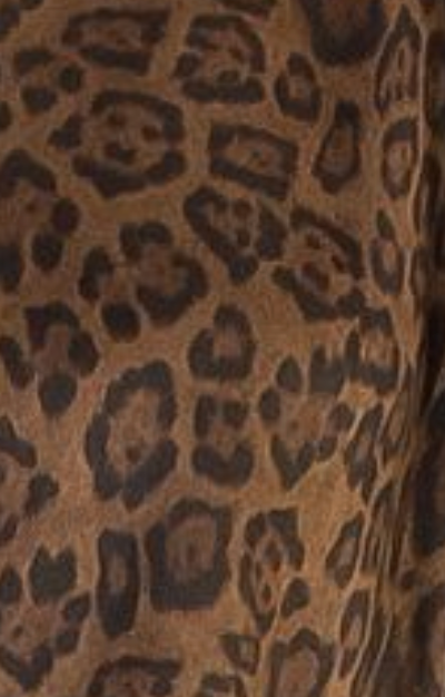 Short Sleeve Leopard Suede Top