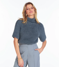 Lily Short Sleeve Turtleneck
