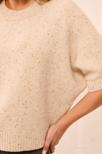 Tribal Lofty Short Sleeve Sweater w/Gold Flicks