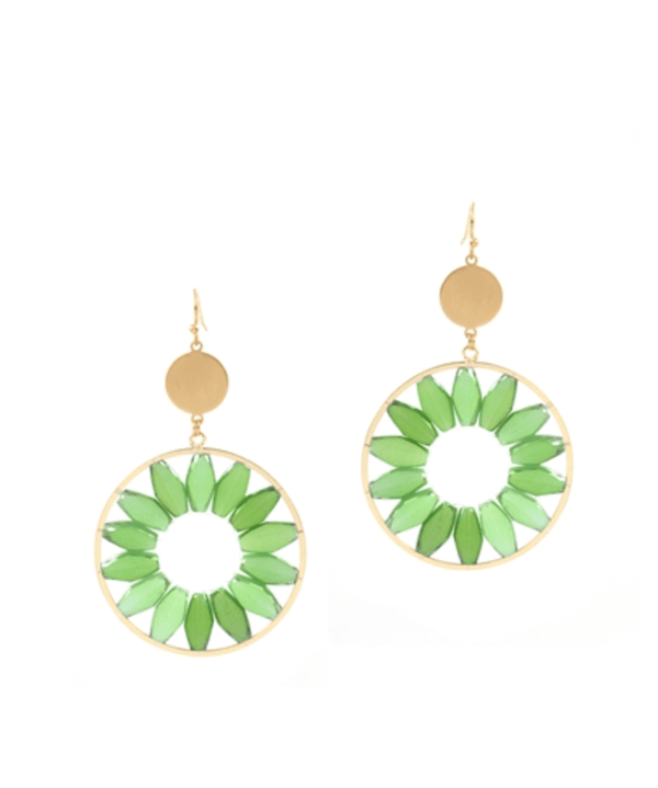 WH Crystal Circle Earring